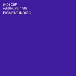 #401C9F - Pigment Indigo Color Image