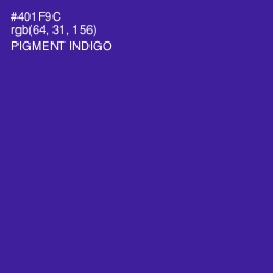 #401F9C - Pigment Indigo Color Image