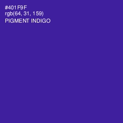 #401F9F - Pigment Indigo Color Image