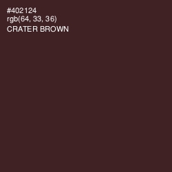 #402124 - Crater Brown Color Image