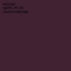 #402232 - Crater Brown Color Image