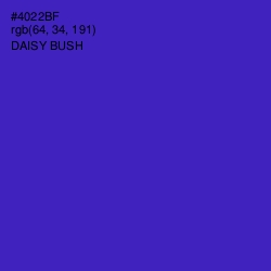 #4022BF - Daisy Bush Color Image