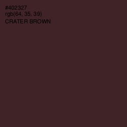 #402327 - Crater Brown Color Image