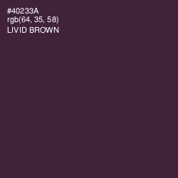 #40233A - Livid Brown Color Image