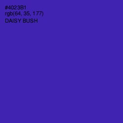 #4023B1 - Daisy Bush Color Image