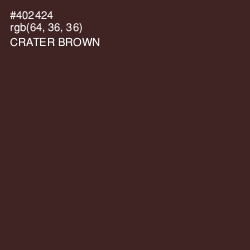 #402424 - Crater Brown Color Image