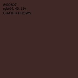 #402827 - Crater Brown Color Image