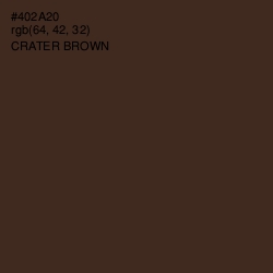 #402A20 - Crater Brown Color Image