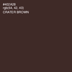 #402A28 - Crater Brown Color Image