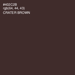 #402C2B - Crater Brown Color Image