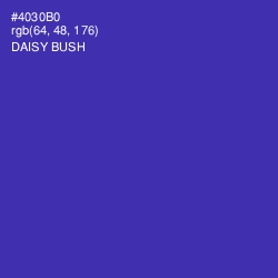 #4030B0 - Daisy Bush Color Image