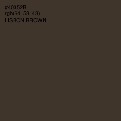 #40352B - Lisbon Brown Color Image