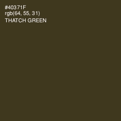 #40371F - Thatch Green Color Image