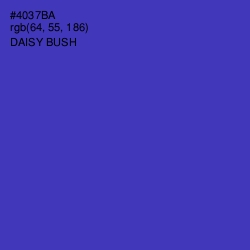 #4037BA - Daisy Bush Color Image