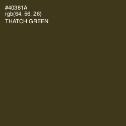 #40381A - Thatch Green Color Image