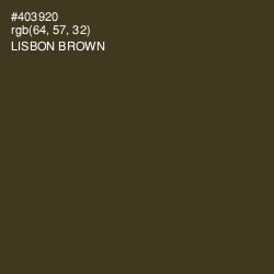 #403920 - Lisbon Brown Color Image