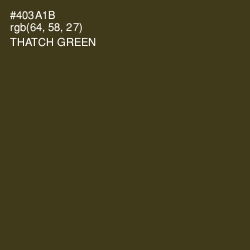 #403A1B - Thatch Green Color Image