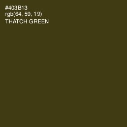 #403B13 - Thatch Green Color Image