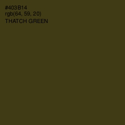 #403B14 - Thatch Green Color Image