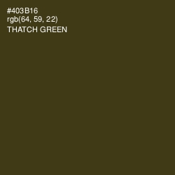 #403B16 - Thatch Green Color Image