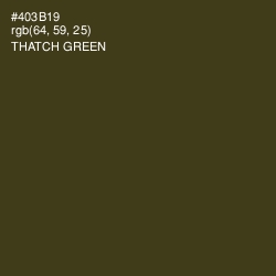 #403B19 - Thatch Green Color Image