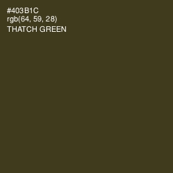 #403B1C - Thatch Green Color Image