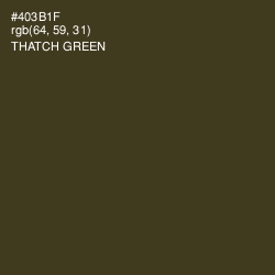 #403B1F - Thatch Green Color Image