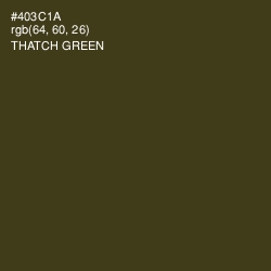 #403C1A - Thatch Green Color Image