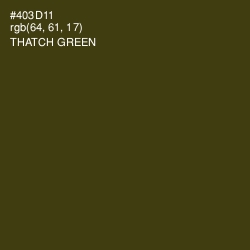 #403D11 - Thatch Green Color Image