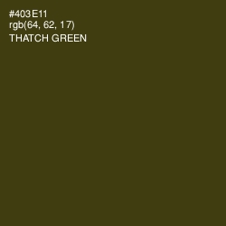 #403E11 - Thatch Green Color Image