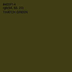 #403F14 - Thatch Green Color Image