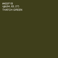 #403F1B - Thatch Green Color Image