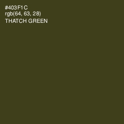#403F1C - Thatch Green Color Image