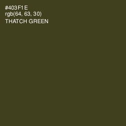 #403F1E - Thatch Green Color Image