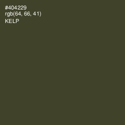 #404229 - Kelp Color Image