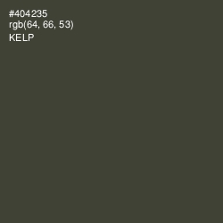 #404235 - Kelp Color Image