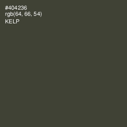 #404236 - Kelp Color Image