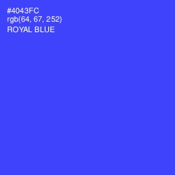 #4043FC - Royal Blue Color Image