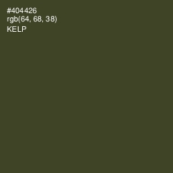 #404426 - Kelp Color Image