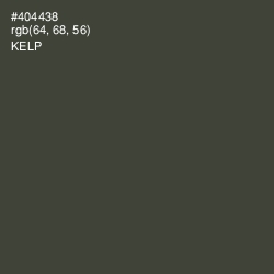 #404438 - Kelp Color Image