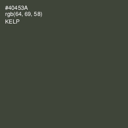 #40453A - Kelp Color Image