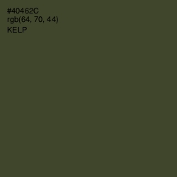 #40462C - Kelp Color Image