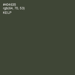#404635 - Kelp Color Image