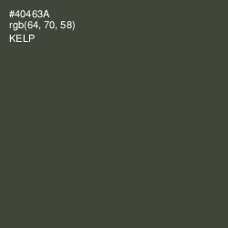 #40463A - Kelp Color Image