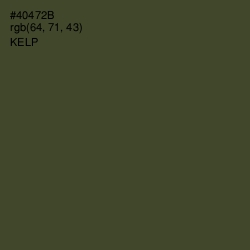 #40472B - Kelp Color Image