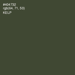 #404732 - Kelp Color Image
