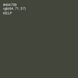 #404739 - Kelp Color Image