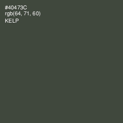 #40473C - Kelp Color Image