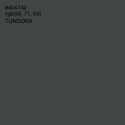 #404742 - Tundora Color Image