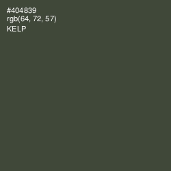 #404839 - Kelp Color Image